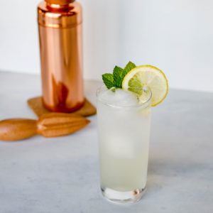 GIn Fizz cocktail